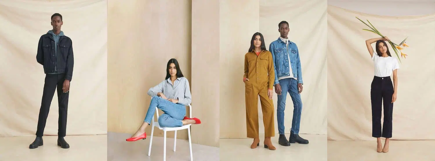 Radical Transparency: Why Brands Like Allbirds and Everlane Are Winning Consumer...