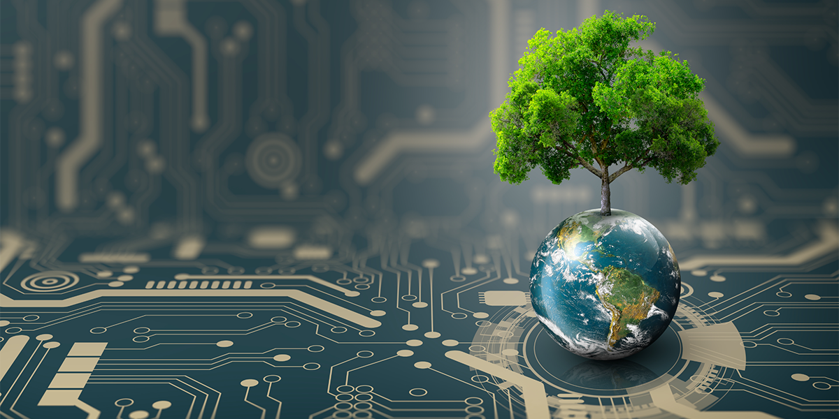 Green Coding: How Developers Are Building a More Sustainable Internet