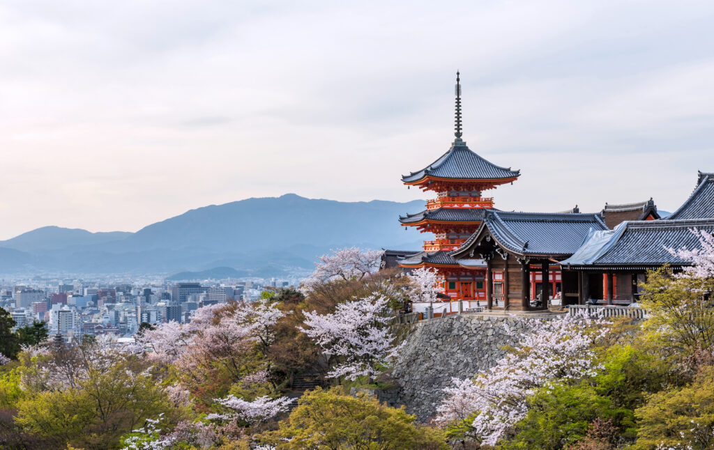 Strengthening Alliances: Insights from the Recent US-Japan Rare Earth Talks